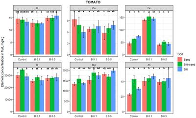 Effect of the Boron Concentration in Irrigation Water on the Elemental Composition of Edible Parts of Tomato, Green Bean, Potato, and Cabbage Grown on Soils With Different Textures